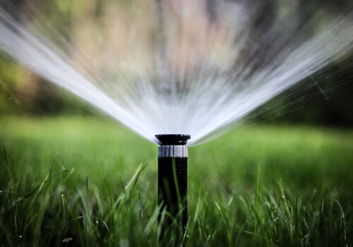 irrigation